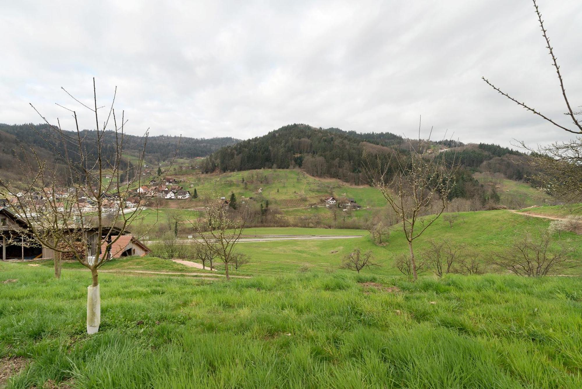 Appartamento Haus Am Schroffen Ottenhofen im Schwarzwald Esterno foto