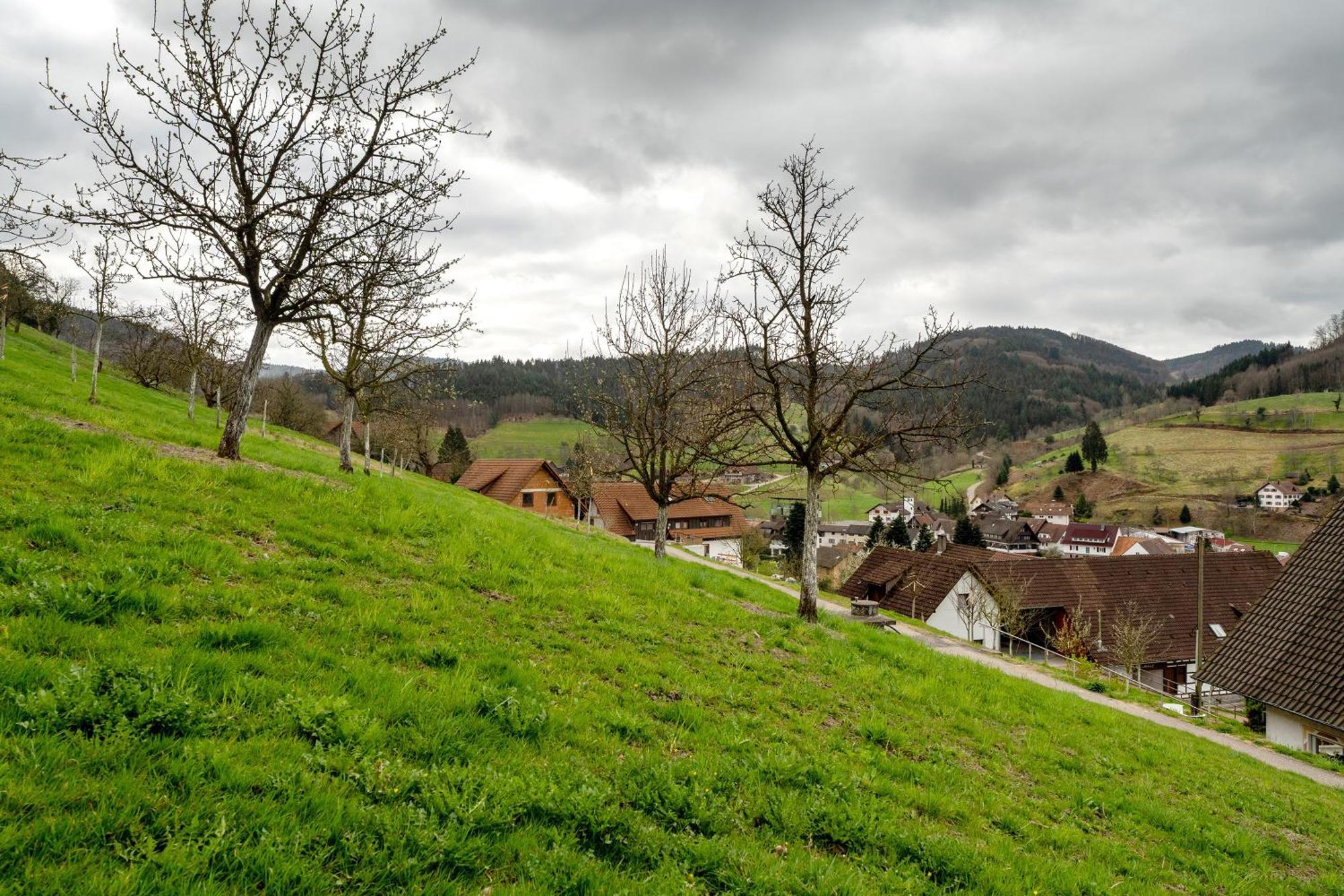Appartamento Haus Am Schroffen Ottenhofen im Schwarzwald Esterno foto